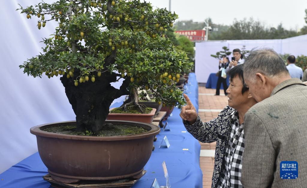 免费彩金白菜